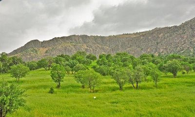 منطقه حفاظت شده هلن
